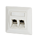 Placa frontal Keystone, marfim