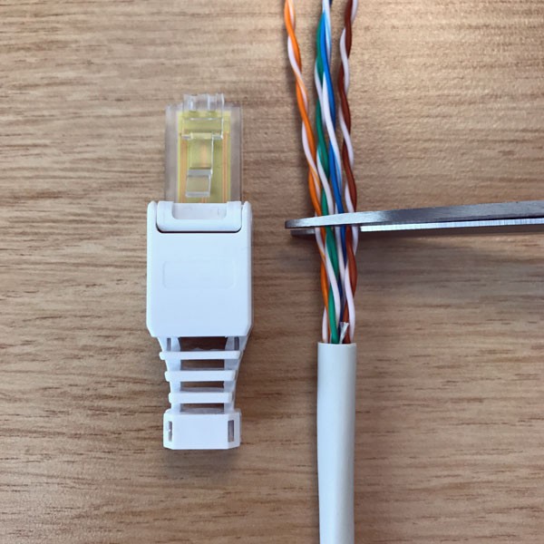 Corte o tubérculo de aderoare em linha reta e no tamanho desejado.